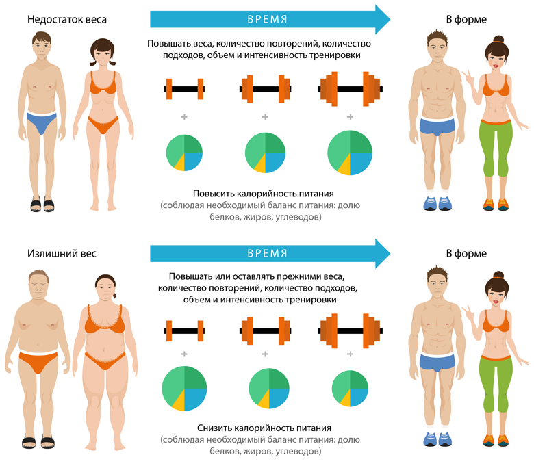 Progressive Overload Principle