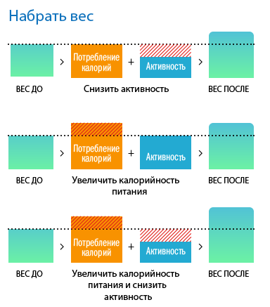 Law of Thermodynamics Weight Gain