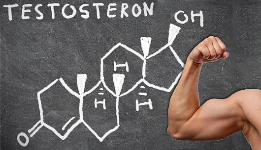анализы на тестостерон у мужчин