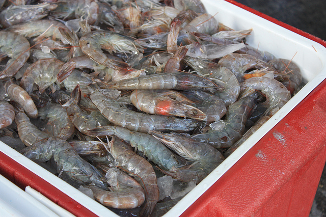 thai-shrimp-prawn-12