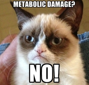 slow-metabolism-symptoms-cat