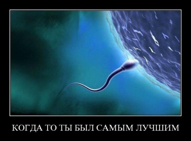 демотиватор_сперматозоид