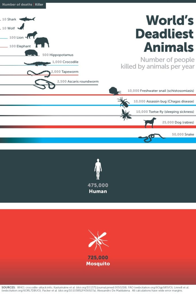 Какие животные убивают в год больше всего людей