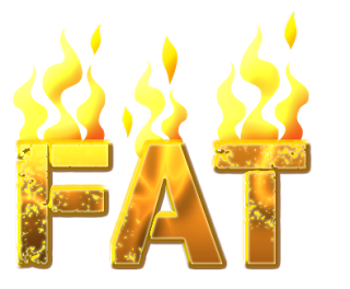 fat-burning-zone
