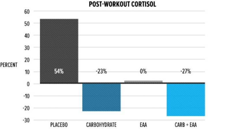 post-workout cortisol changes
