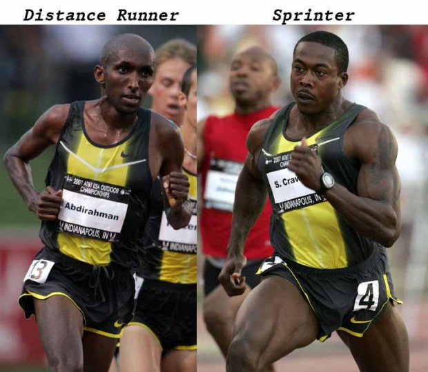 Наглядный пример отличия тел атлетов, занимающихся ВИИТ (высокоинтенсивной беговой нагрузки) и бегом на длинные дистанции (работа на выносливость).
