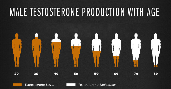 С возрастом естественная выработка тестостерона у мужчин снижается. Но в этот процесс можно вмешаться.