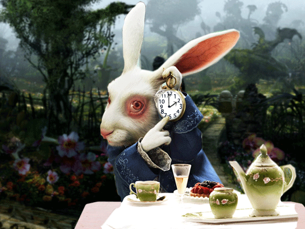 кролик и его часы
