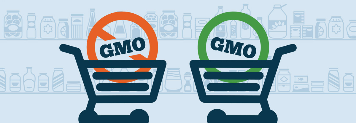are-gmos-good-or-bad_banner