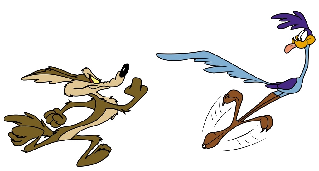 wile_e_coyote_and_road_runner_wallpaper-29519