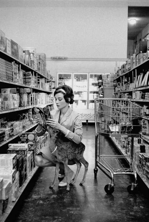 Одри Хепберн и Пиппин на шоппинге, США, 1958 год.