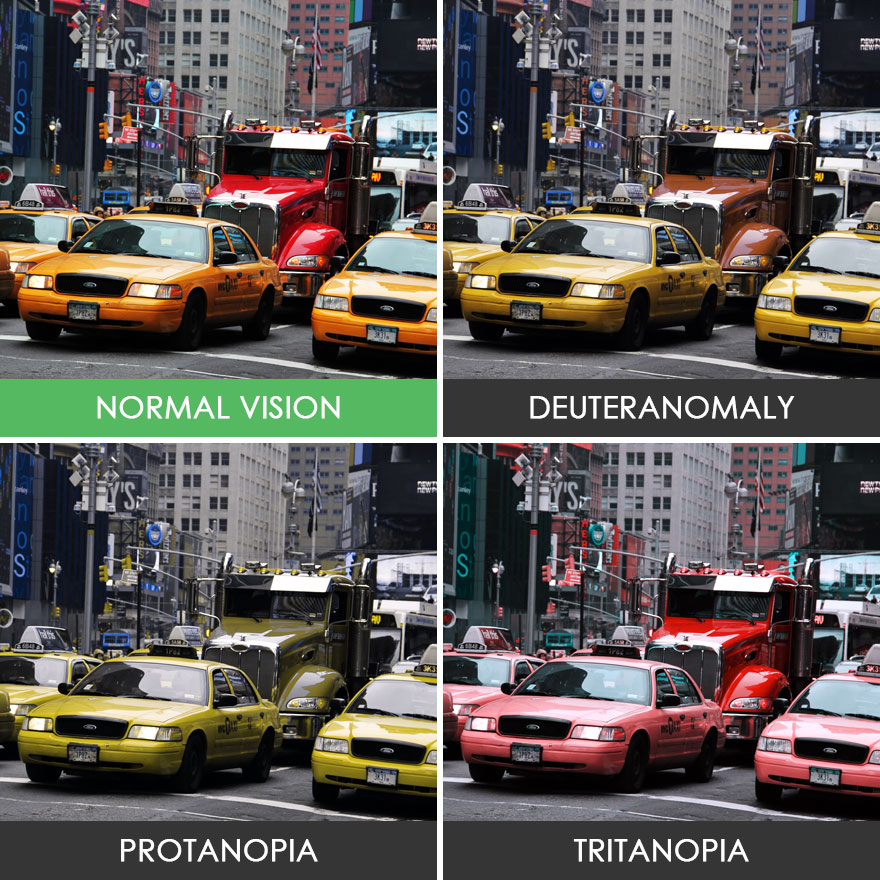 different-types-color-blindness-photos-46