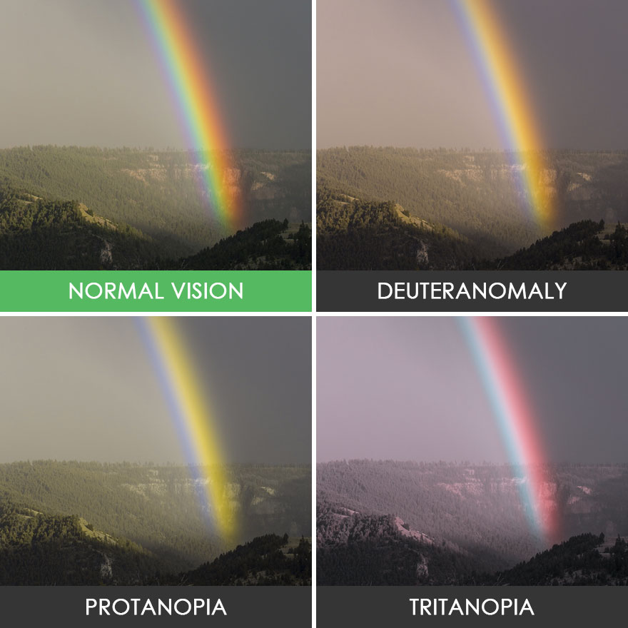 different-types-color-blindness-photos-64-588759c52306c__880