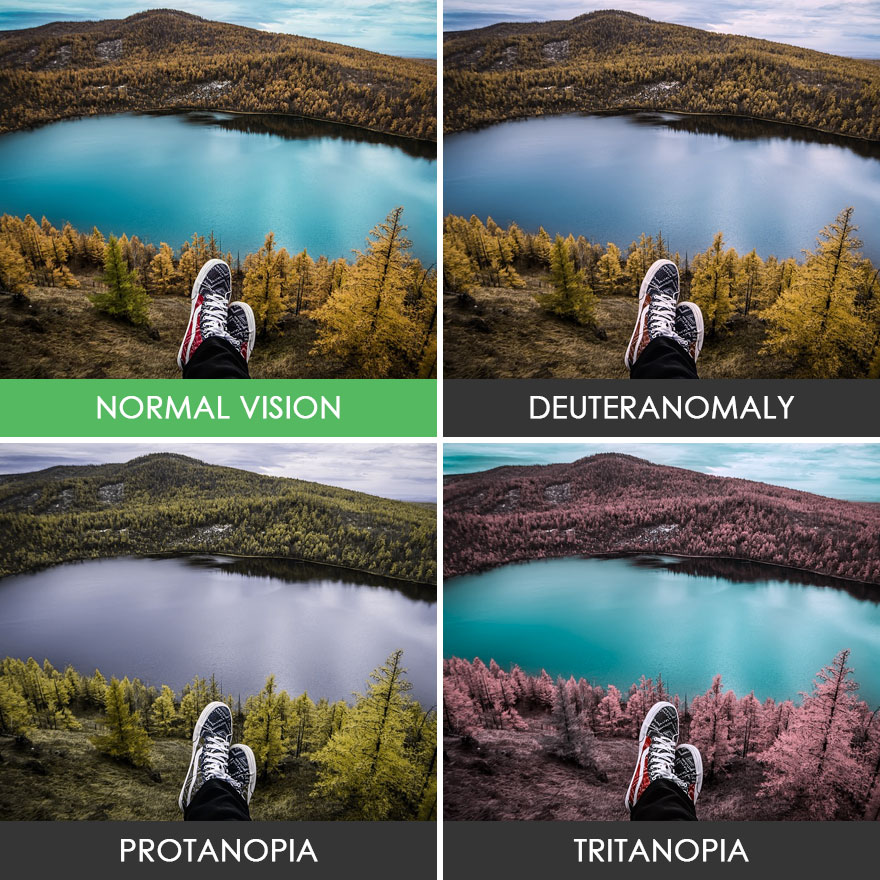 different-types-color-blindness-photos-75-588748cb3de05__880